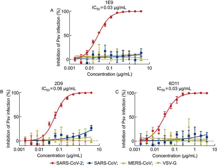 靶向sars Cov 2受体结合结构域的嵌合抗体表达及功能研究 7355